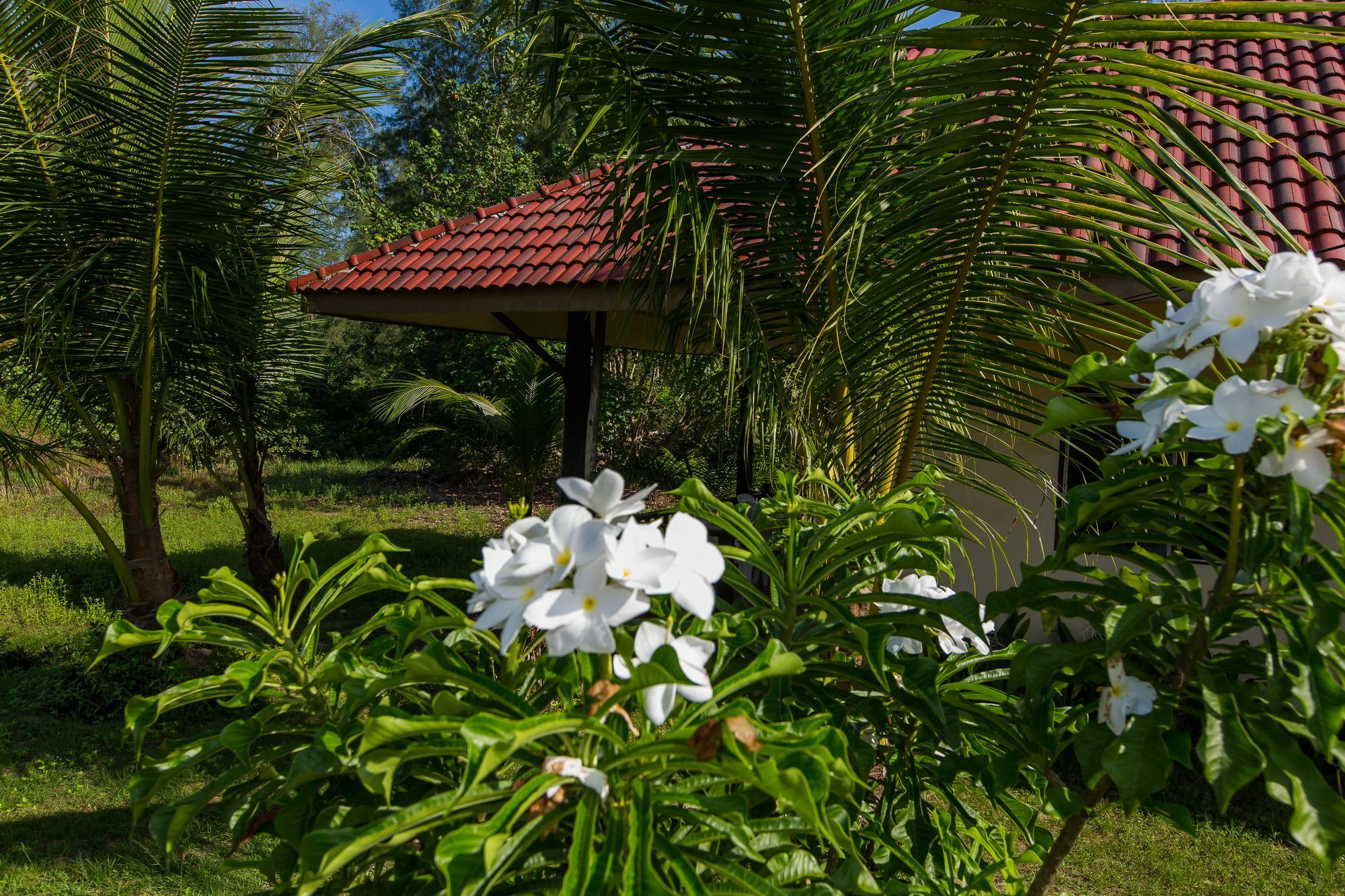 Pranee Beach Bungalows Koh Kho Khao Island Exterior foto